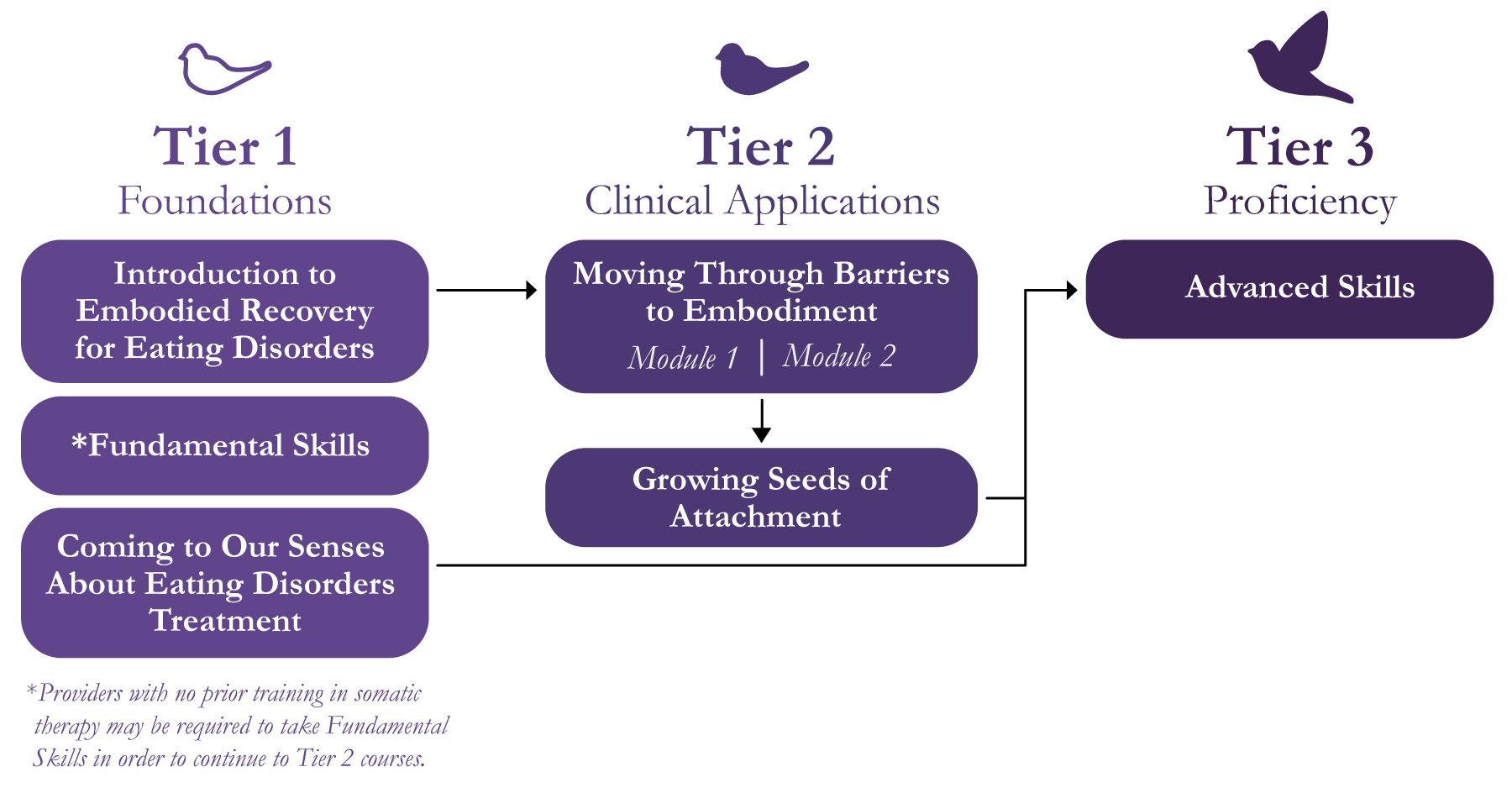 A figure describing how to progress through the courses and the 3 tiers. The figure caption (for screen readers) describes the chart in detail.